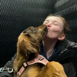 Meet your Posher, Holiday